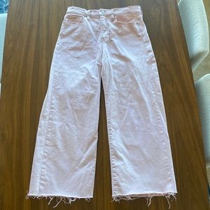 Banana Republic Wide Leg Crop